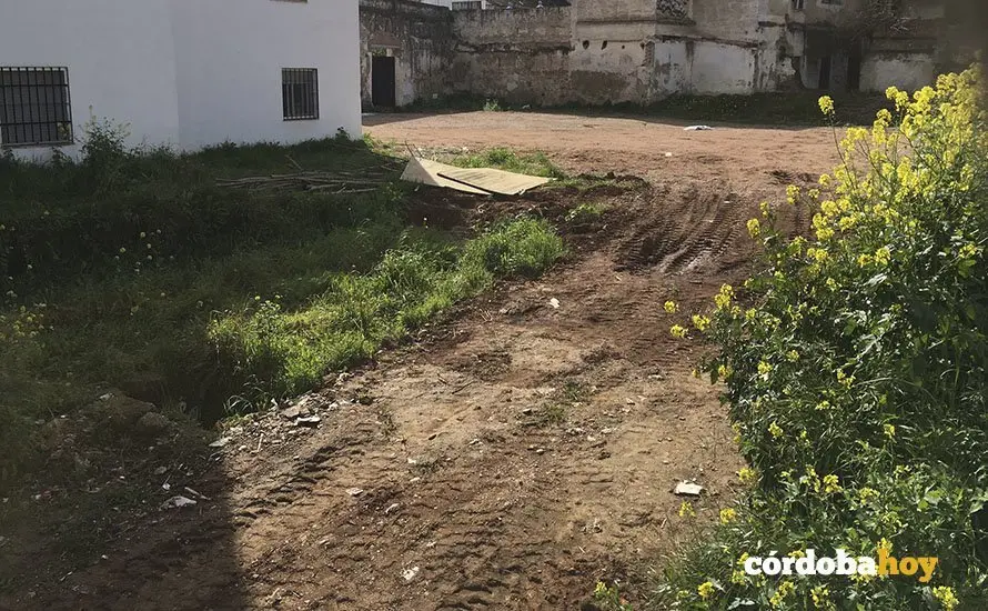 cine andalucia 