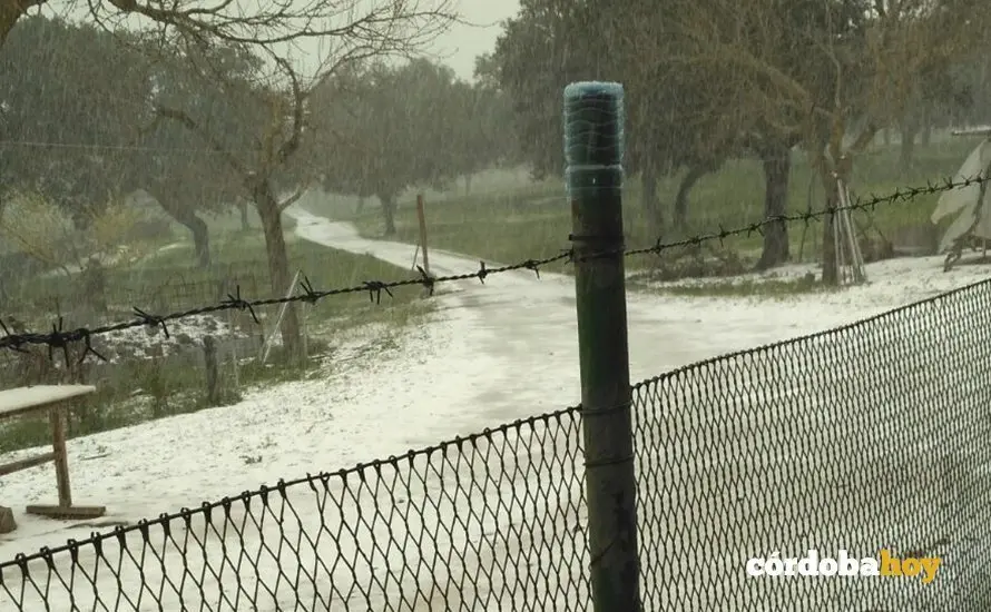 Nieve en Carde&ntilde;a