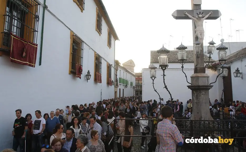 Dolores 9