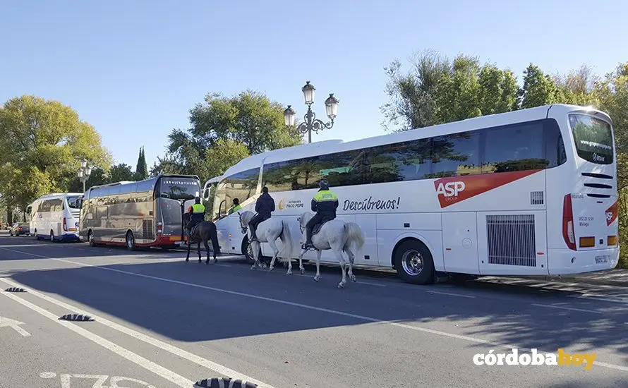 Autobuses tur&iacute;sticos en la Ribera