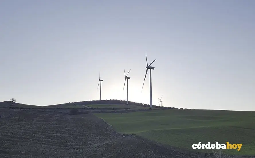 Energ&iacute;a e&oacute;lica