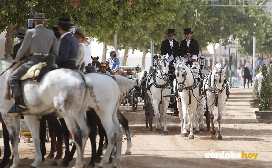 Feria s&aacute;bado 18