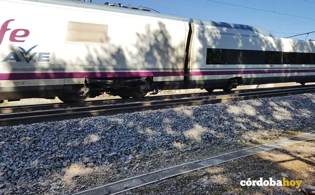 Tren AVE a su paso por C&oacute;rdoba