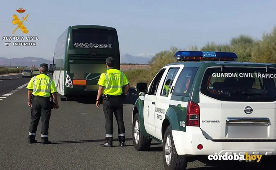 autobus autovia 