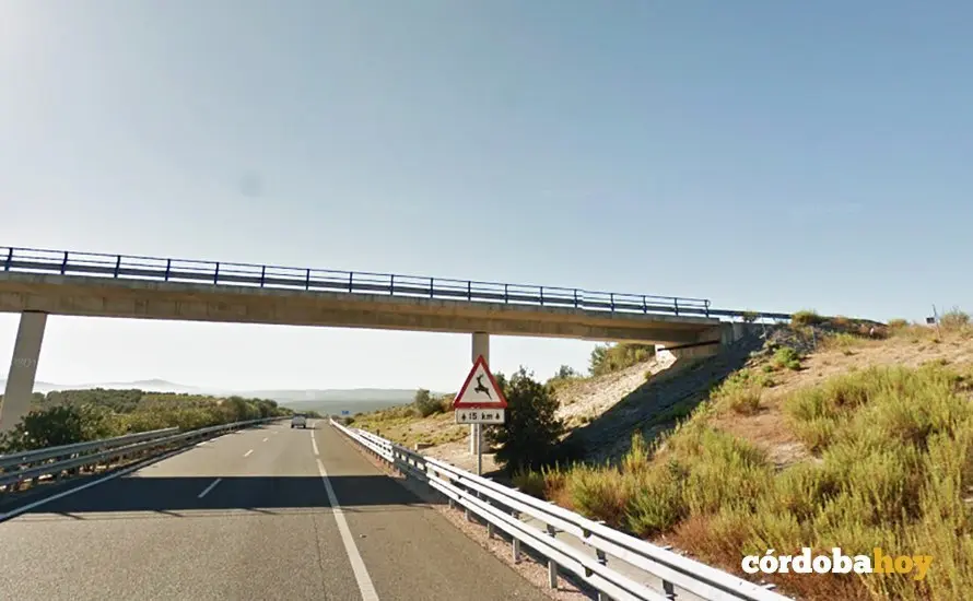 Paso elevado desde donde arrojaba las piedras