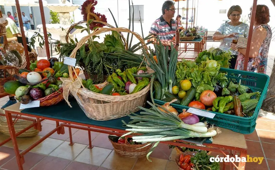 Hortalizas en el conurso de huerta tradicional de A&ntilde;ora