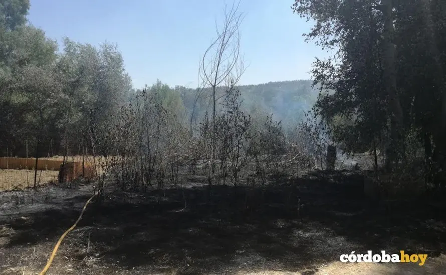 Incendio en Alcolea