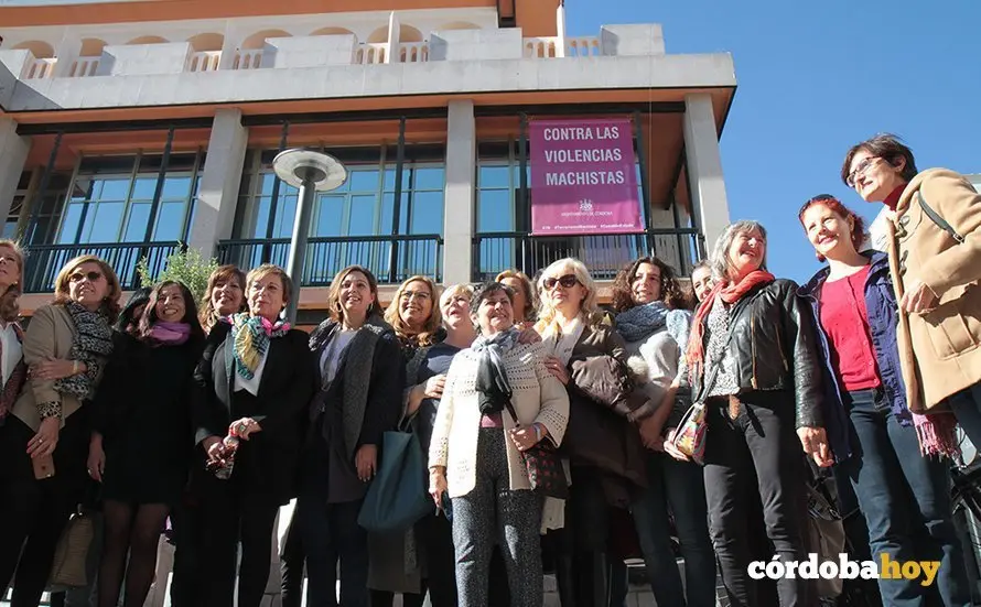 D&iacute;a Internacional de la Violencia Machista