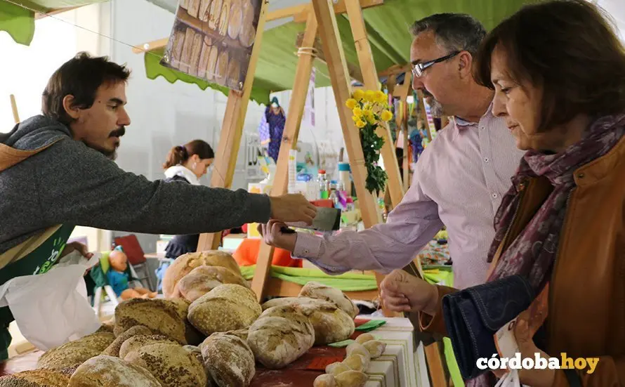 Ecomercado 6