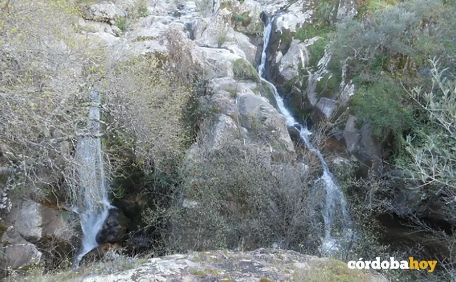 Arroyo de Don Lucas