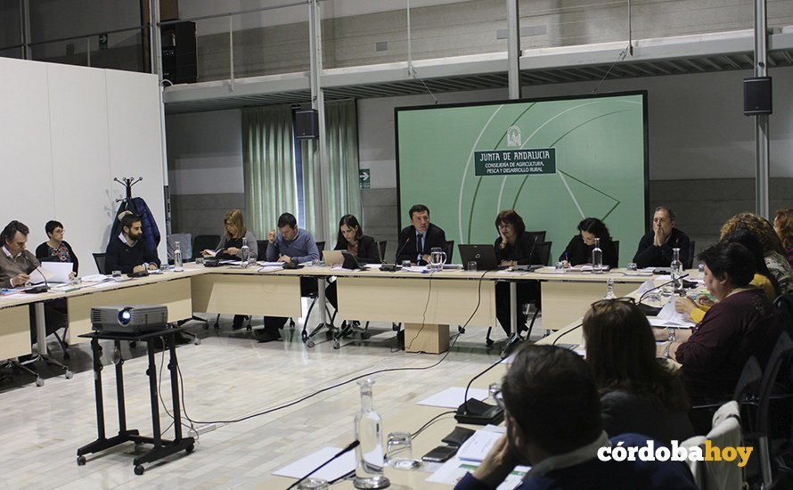 la Reunión  del comité de seguimiento del I Plan de Igualdad de Oportunidades entre  Mujeres y Hombres en la Actividad Agroalimentaria y Pesquera de  Andalucía
