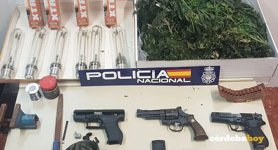 Polic&iacute;a armas