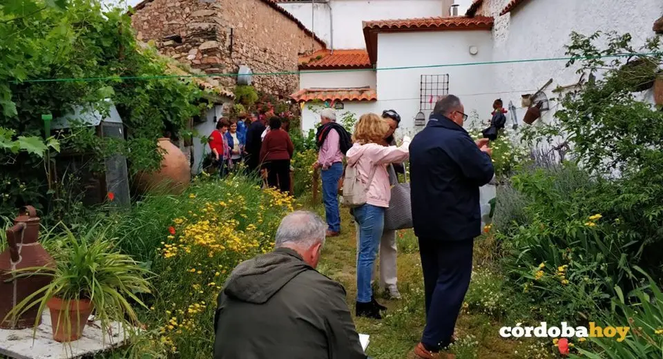 Flores en Torrecampo