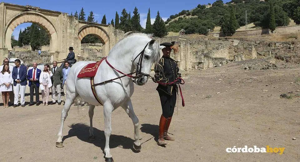 Medina Azahara 2