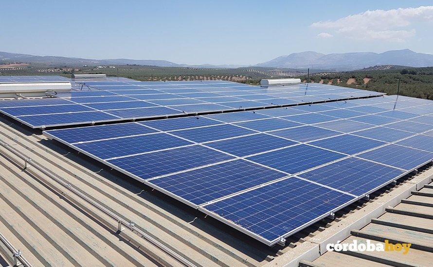 Placas solares de la empresa Enchufe Solar