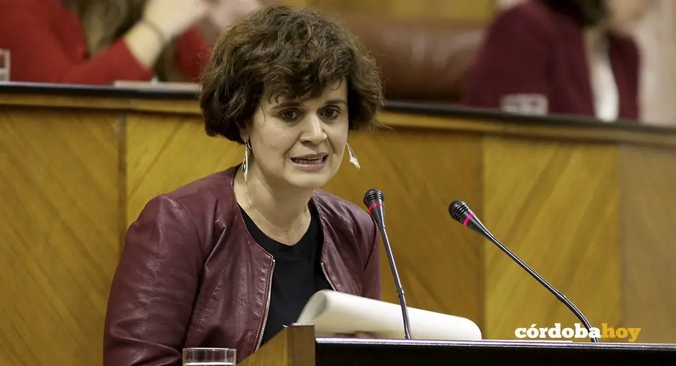 Esperanza G&oacute;mez, portavoz de Podemos en el Parlamento andaluz