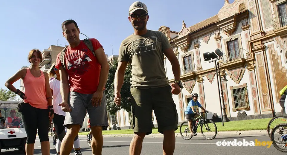 bici33