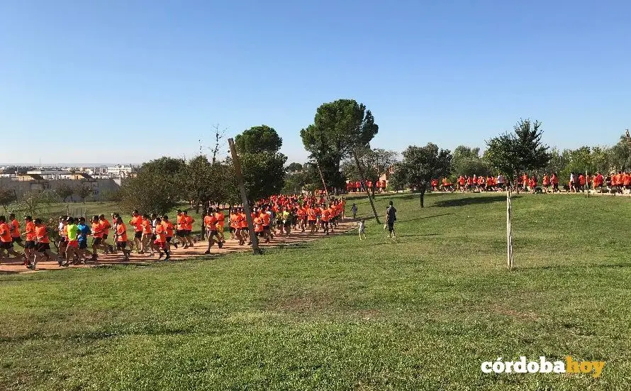 Beer runner 5