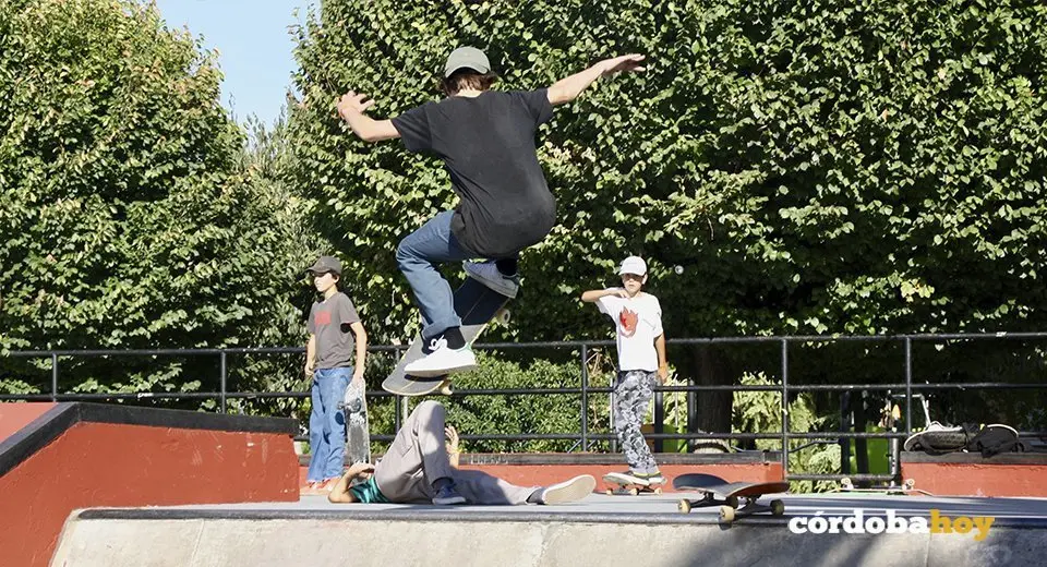 Skate3