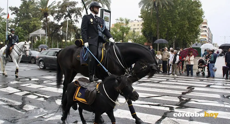 marcha11