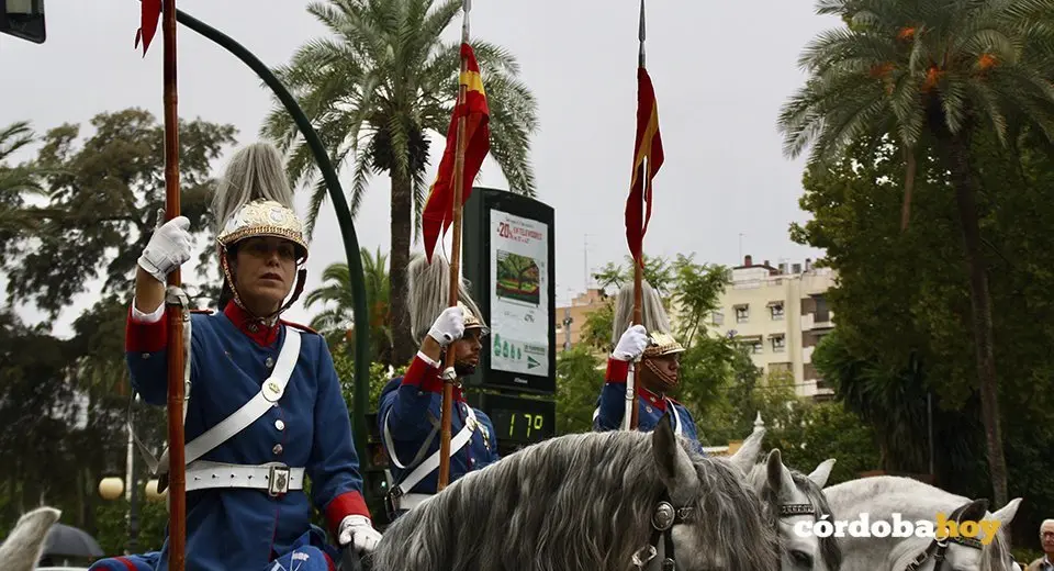 marcha6
