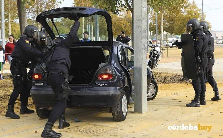 Simulacro 5