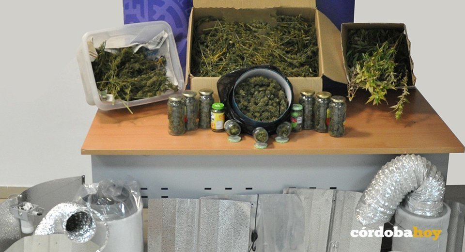 Marihuana y material incautado por la Policía Nacional en Lucena