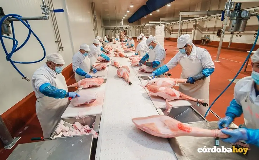 Cenbtro de Transformaci&oacute;n C&aacute;rcnica de Covap en Pozoblanco