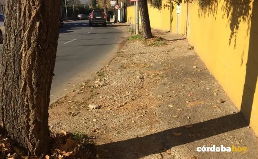 Acerado de la carretera de las Ermitas en el entorno del colegio La Salle