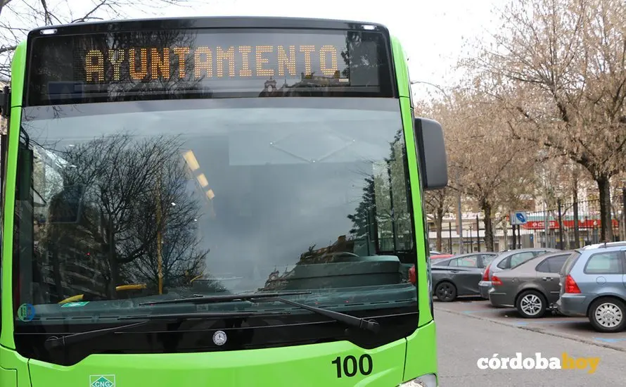 Bus 45