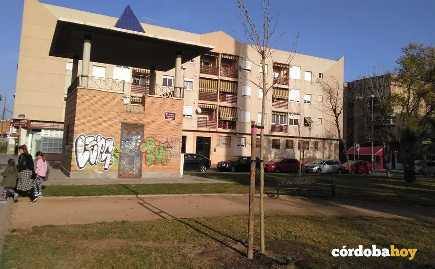 Pl&aacute;tanos de sombra en el Distrito Noroeste