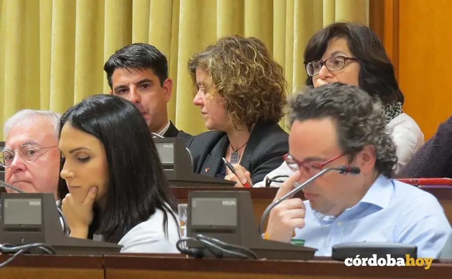 Bancada de la izquierda en el Pleno municipal de C&oacute;rdoba