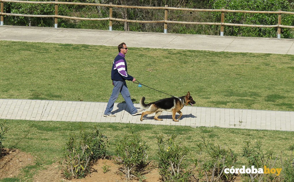 Perro paseando a su dueño por la zona de la Ribera