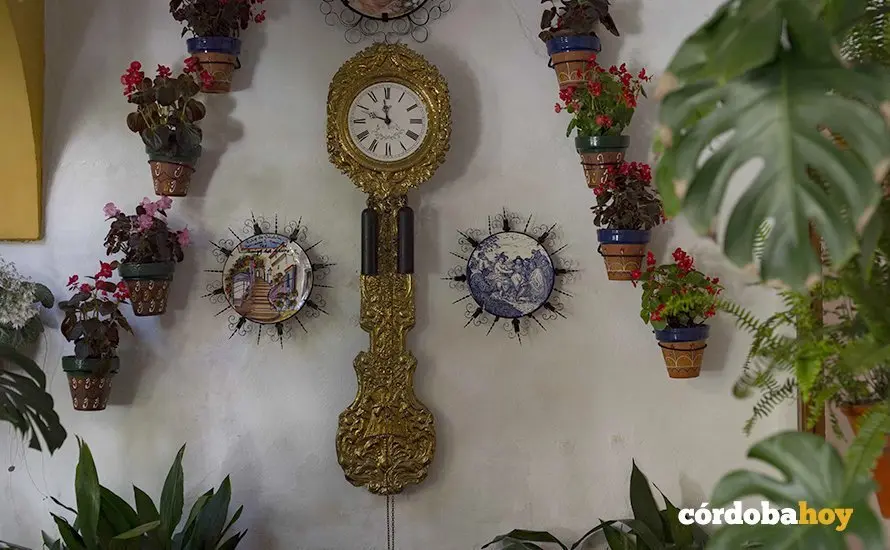 REGINA 4