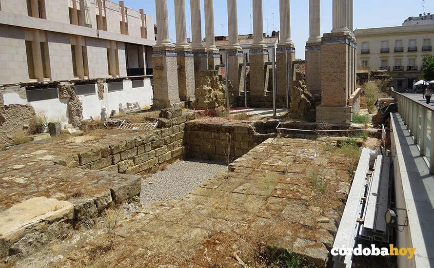 Jaramagos en el Templo Romano de Córdoba 4