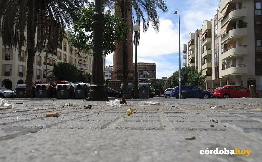 Plaza Flor de Olivo con papeles