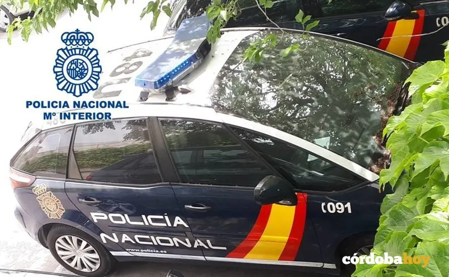 Veh&iacute;culos de la Polic&iacute;a Nacional