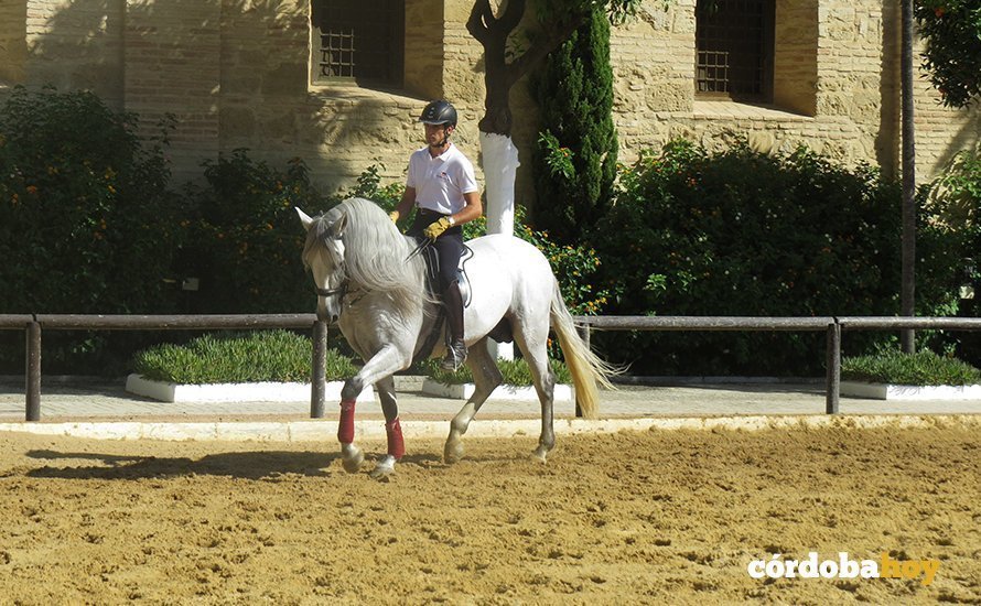 Prácticas de equitación y doma en Caballerizas Reales de Córdoba