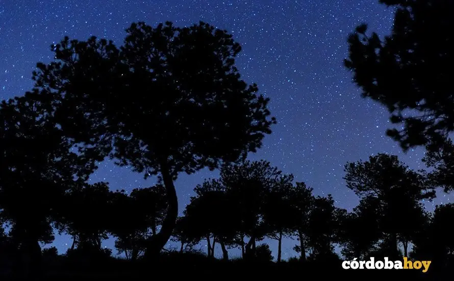 Cielo nocturno estrellado