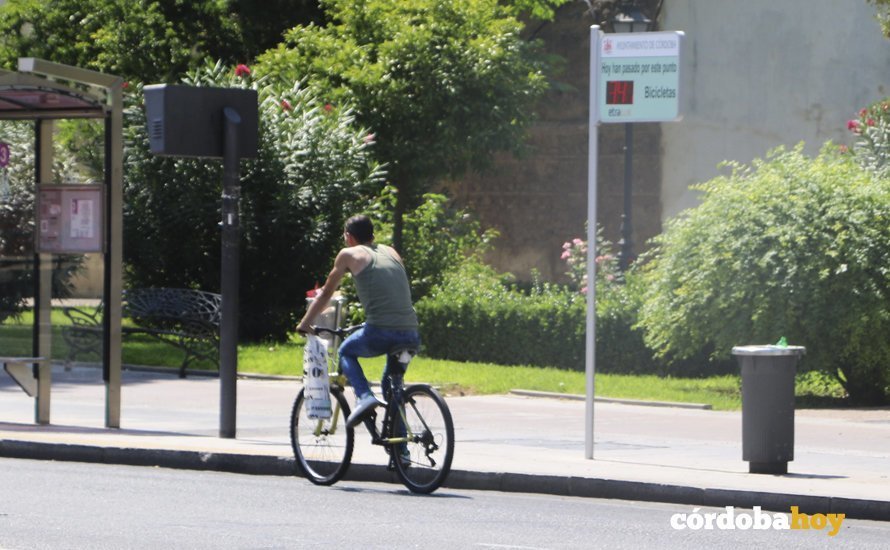 Un ciclista pasa por el contador de bicicletas de Campo Madre de Dios