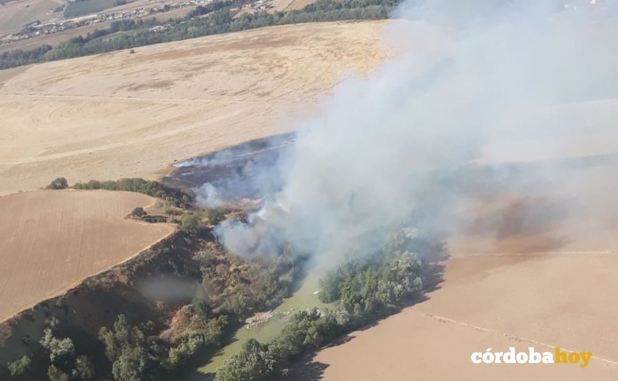 Incendio en la Ribera declarado el 4 de octubre de 2019