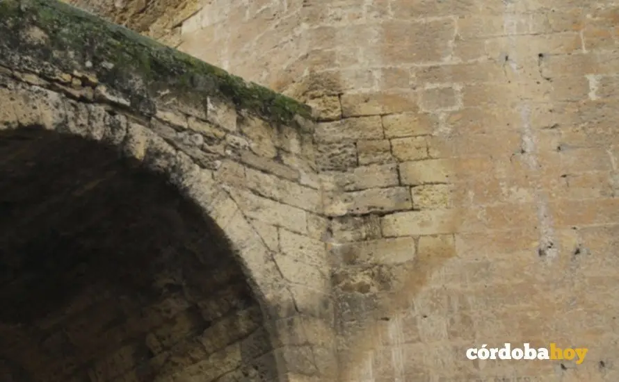 Humedades en la Torre de la Malmuerta