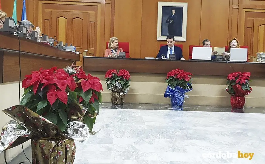 Pleno navide&ntilde;o