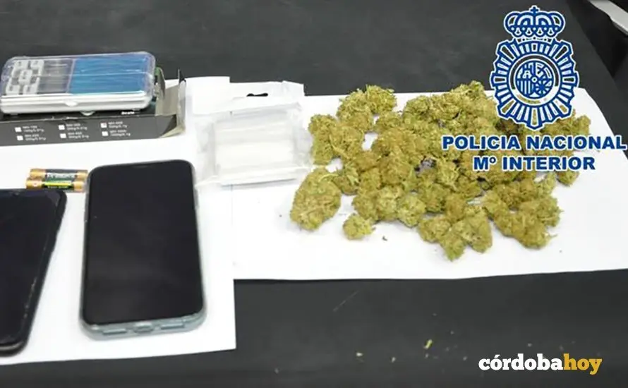 Material incautado por la Polic&iacute;a Nacional de Lucena