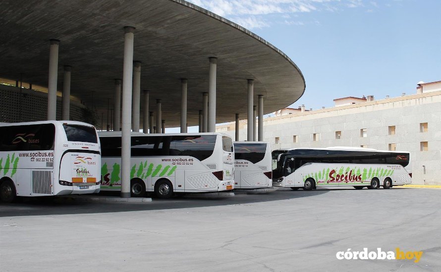 Autobuses de Socibus-Secorbus en la estación de Córdoba