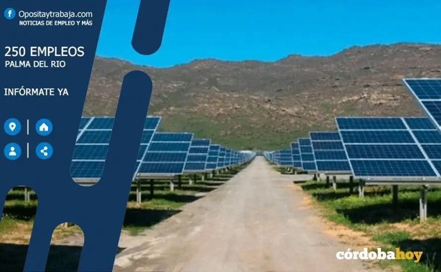 Anuncio de empleo para la planta de Palma del R&iacute;o