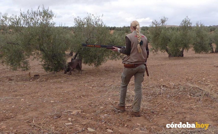 Una cazadora con su perro en un olivar