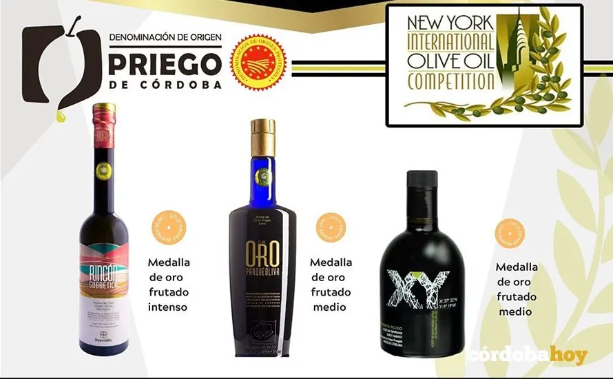 Los aceites de Priego de C&oacute;rdoba premiados en Nueva York