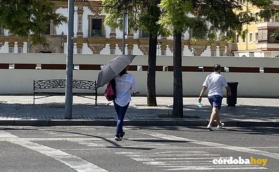 Calor 456