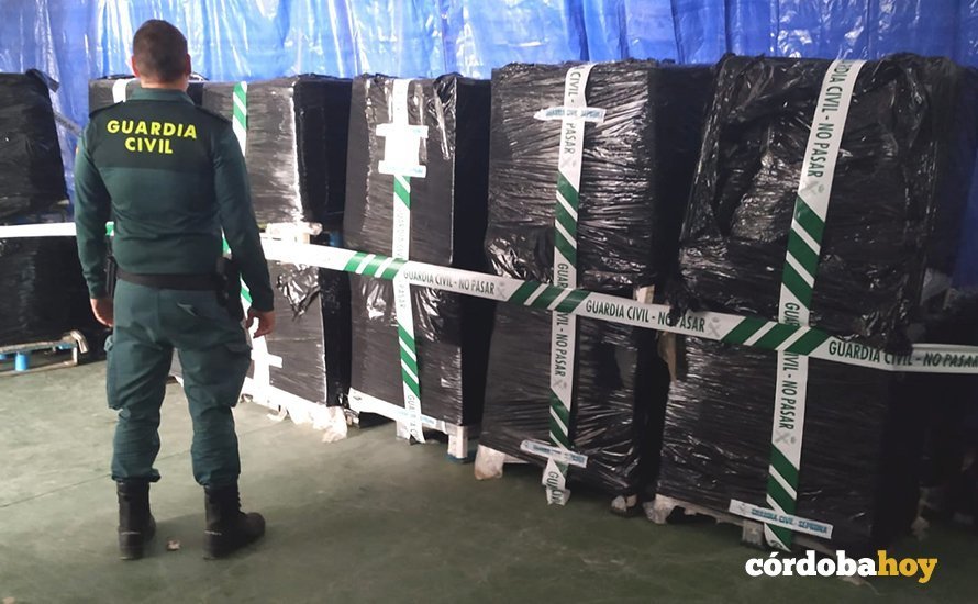 Las más de 46.000 latas de caballa requiasadas por el Seprona en Lucena